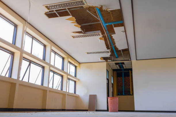 Best Flood damage cleanup  in Palatine, IL