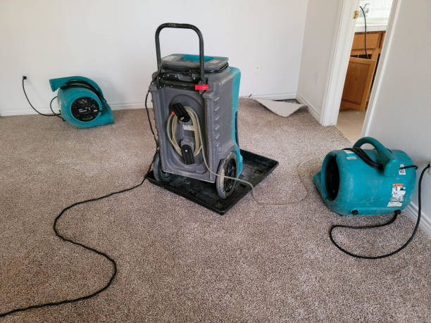 Best Ceiling water damage repair  in Palatine, IL