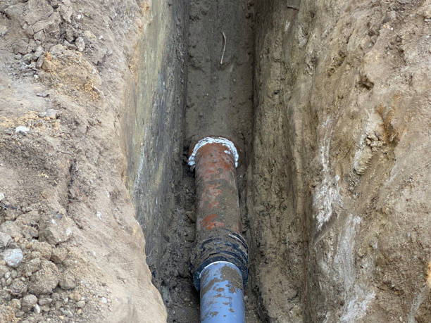 Best Flood damage cleanup  in Palatine, IL