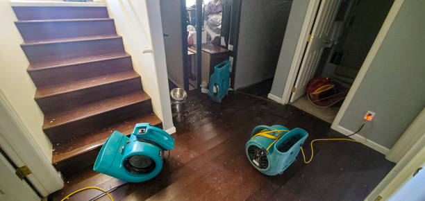 Best Emergency water damage restoration  in Palatine, IL