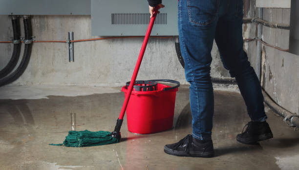 Best Carpet water damage restoration  in Palatine, IL