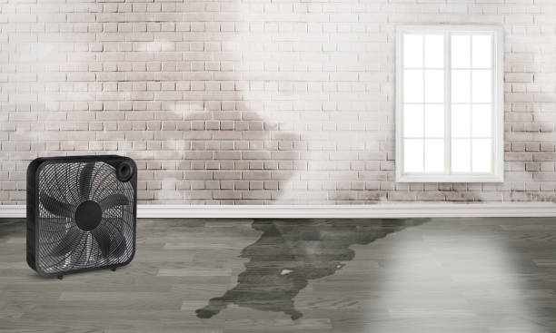 Best Fire Damage Restoration  in Palatine, IL