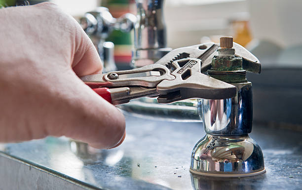 Best Water damage restoration near me  in Palatine, IL
