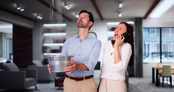 Best Water damage restoration near me  in Palatine, IL