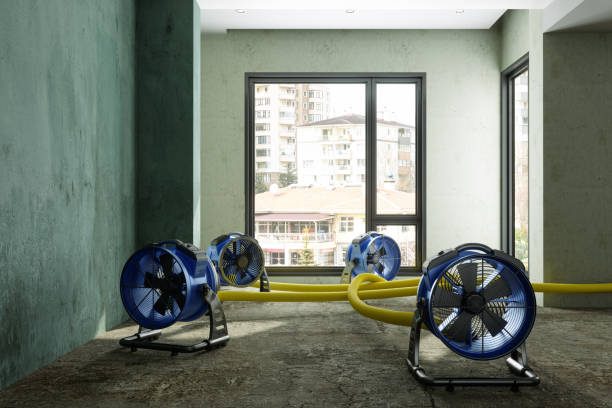 Best Professional water damage repair  in Palatine, IL